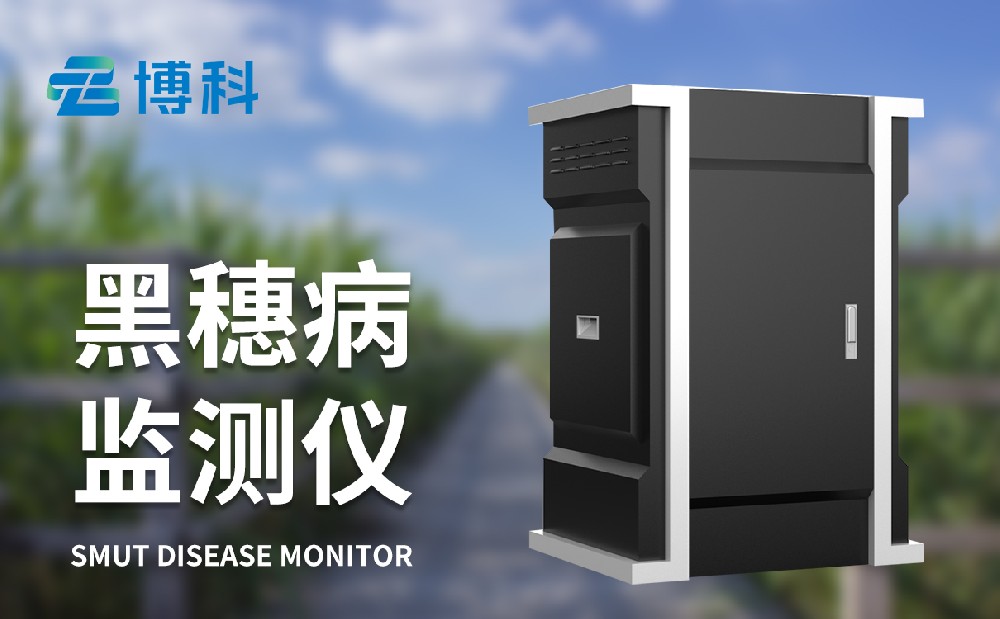 玉米黑穗病監測儀提升玉米農田病害治理能力