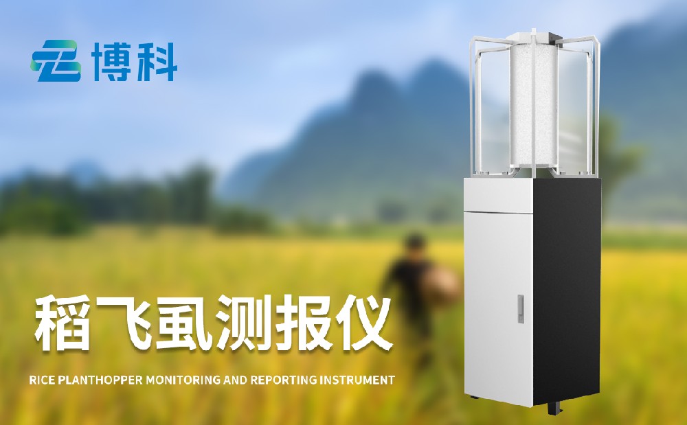 稻飛虱在線監測儀有效提升水稻病蟲害治理能力