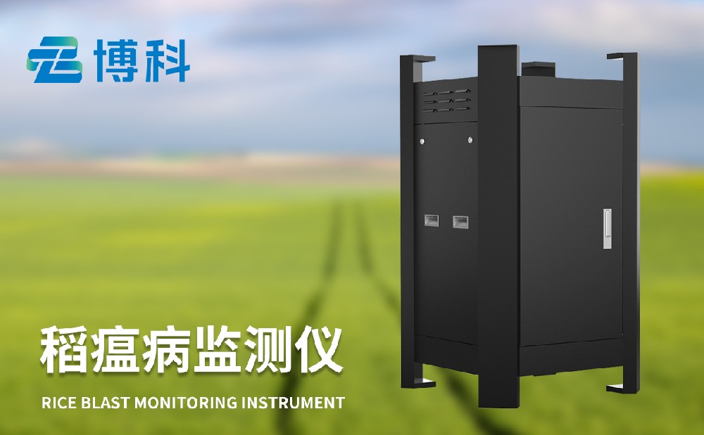 稻瘟病的防治有哪些注意事項